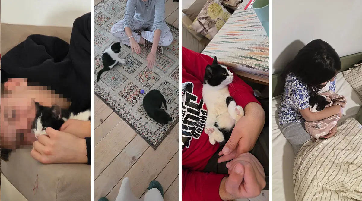 Miki Mrvica mace terapijske mali porodicni dom Ledici dom bjelave fondacija second 01