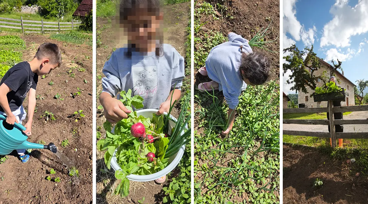 mali porodicni dom ledici berba prvih plodova u basti djeca bez roditeljskog staranja fondacija second 01