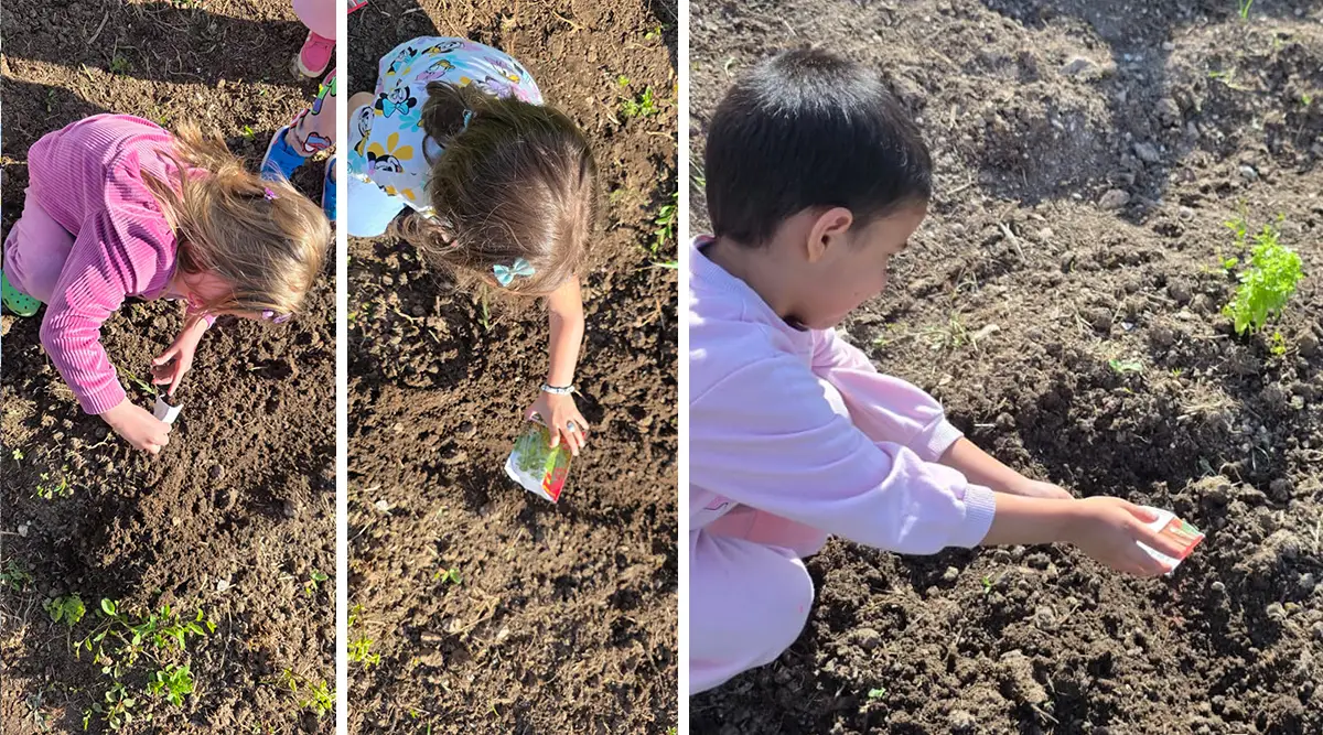 small family home ledici first harvest from the garden children without parental care second foundation 05