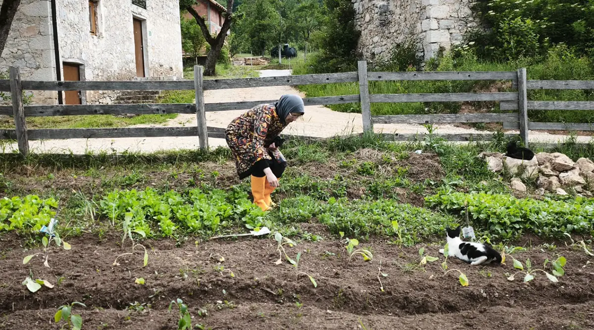 small family home ledici first harvest from the garden children without parental care second foundation 07