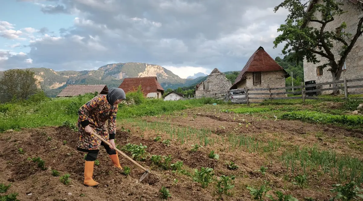 small family home ledici first harvest from the garden children without parental care second foundation 08