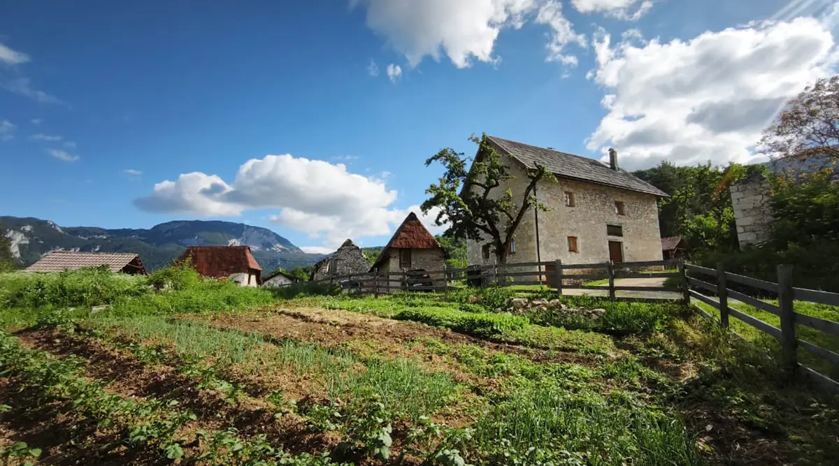 small family home ledici first harvest from the garden children without parental care second foundation 11