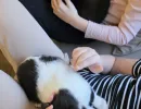 ledici djeca dom bjelave fondacija second