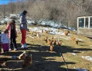 djeca sa teskocama u razvoju mali porodicni dom za djecu bez roditeljskog staranja fondacija second