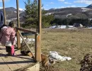 djeca sa teskocama u razvoju mali porodicni dom za djecu bez roditeljskog staranja fondacija second