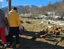 djeca sa teskocama u razvoju mali porodicni dom za djecu bez roditeljskog staranja fondacija second