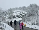 kids ledici winter foundation second   
