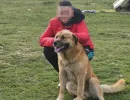 dom za djecu bez roditeljskog staranja tuzla mali porodicni dom ledici fondacija second  